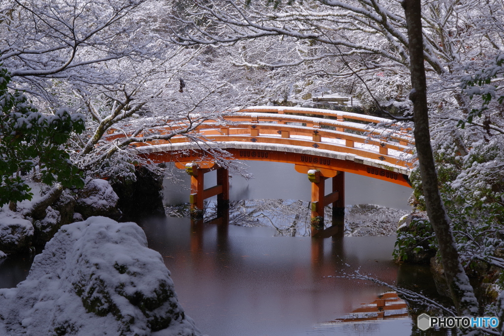雪景2025・醍醐寺（無量寿苑より）