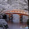 雪景2025・醍醐寺（無量寿苑より）