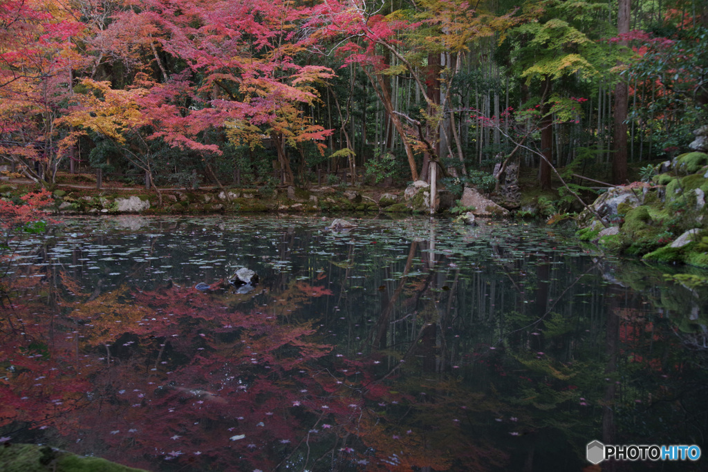 2021京の紅葉（天授庵15）