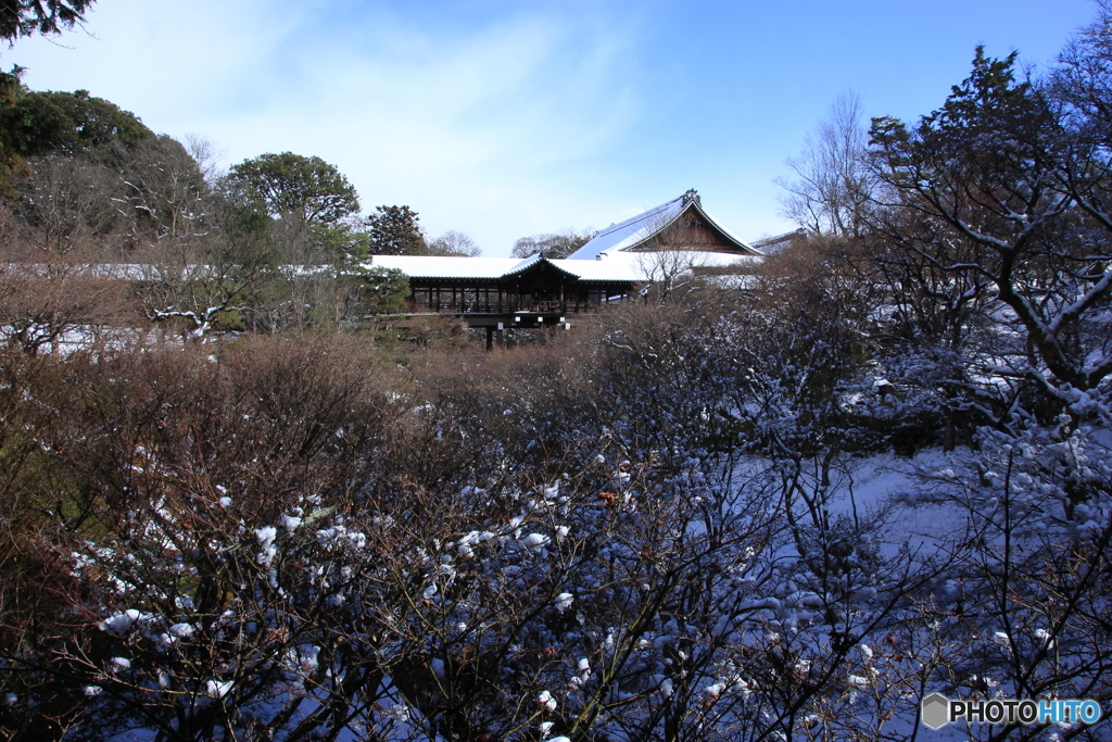 2017京雪景2（東福寺2）