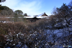 2017京雪景2（東福寺2）