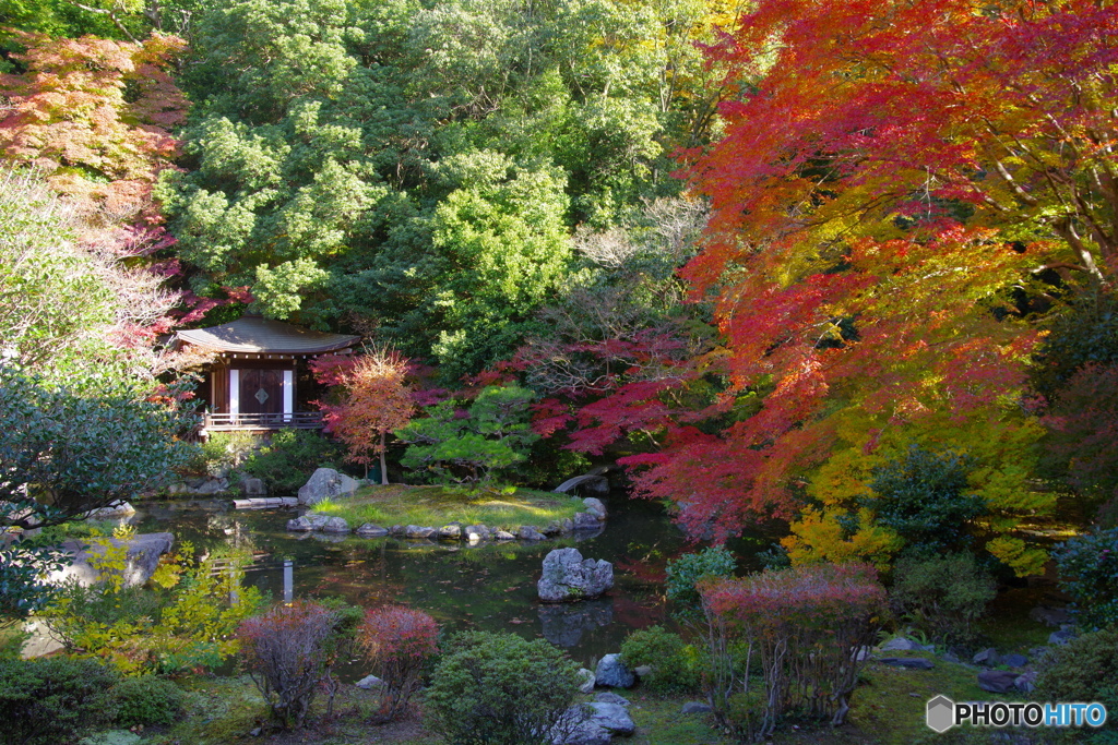 山科・毘沙門堂の紅葉1