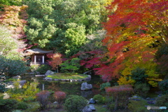 山科・毘沙門堂の紅葉1