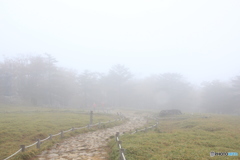 大台ケ原にて（牛石ヶ原）