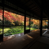 2014紅葉・瑠璃光院⑨(書院１Fより瑠璃の庭 2)