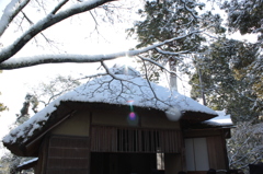 鹿苑寺・夕佳亭　雪と光