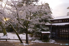 2月9日　金沢・雪（兼六園7）