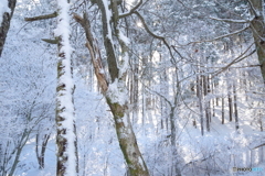 新年あけましておめでとうございます。