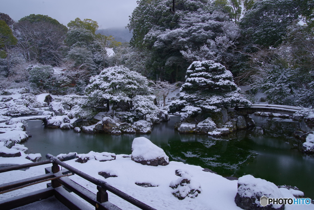 雪景2025・醍醐寺（三宝院・表書院回廊より三宝院庭園を望む1）