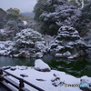 雪景2025・醍醐寺（三宝院・表書院回廊より三宝院庭園を望む1）