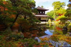 慈照寺銀閣の紅葉2（2020京都紅葉）