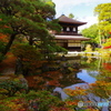 慈照寺銀閣の紅葉2（2020京都紅葉）