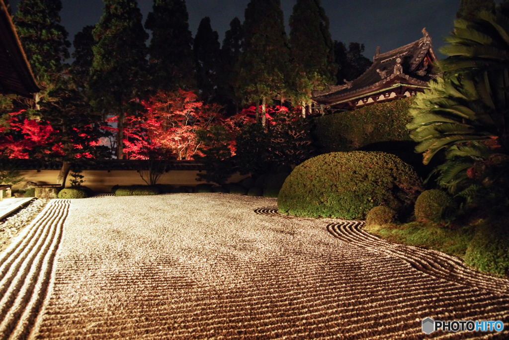 2018紅葉(酬恩菴・一休寺ライトアップ2)
