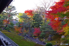 2019紅葉（相国寺2）