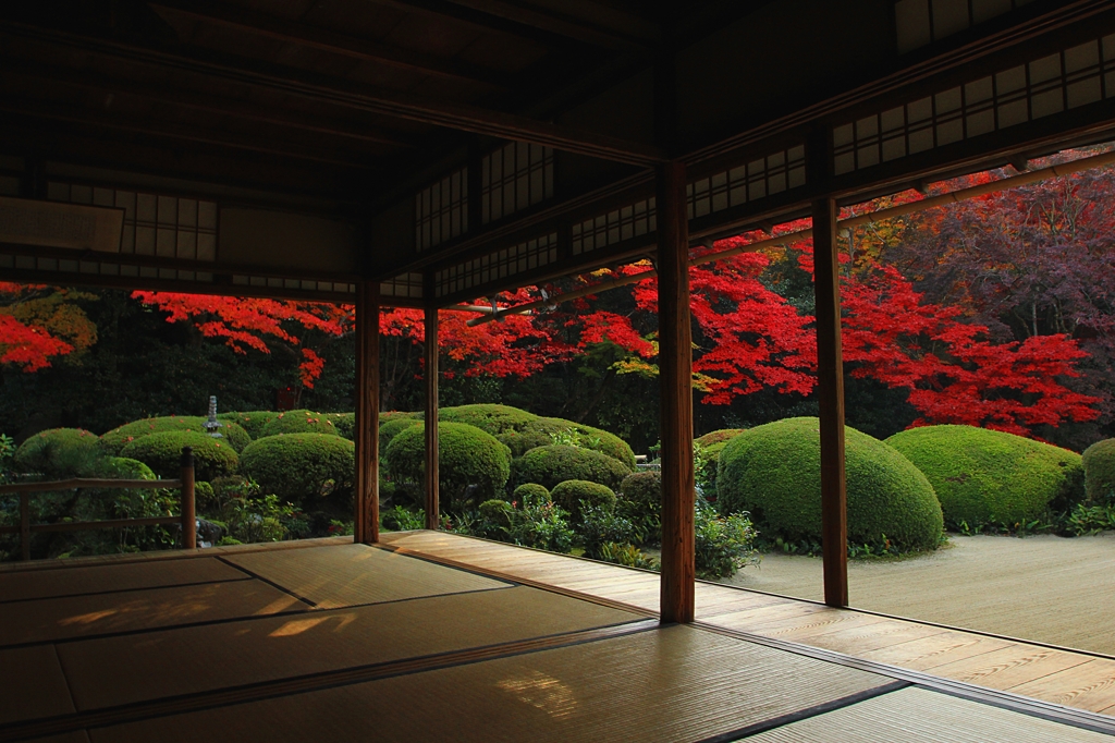 2014紅葉・詩仙堂1