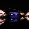 2014京都・桜13（平安神宮ライトアップ・東神苑）