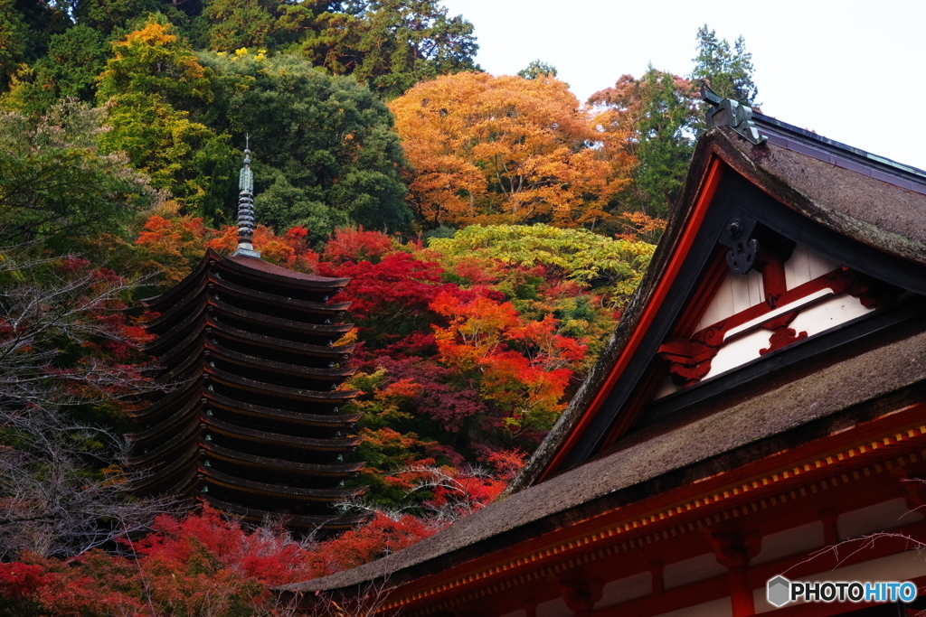 2018紅葉（談山神社4・神廟拝所越しに十三重塔を望む）