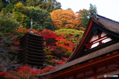 2018紅葉（談山神社4・神廟拝所越しに十三重塔を望む）