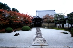 2015紅葉（妙顕寺）