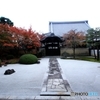 2015紅葉（妙顕寺）