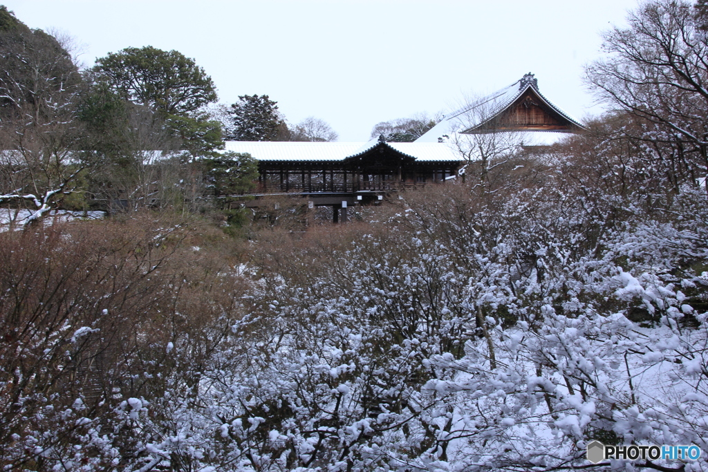 2017京雪景2（東福寺1）