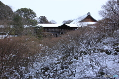 2017京雪景2（東福寺1）