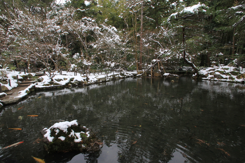 雪情景2015⑧（天授庵・南庭）