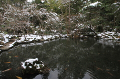 雪情景2015⑧（天授庵・南庭）