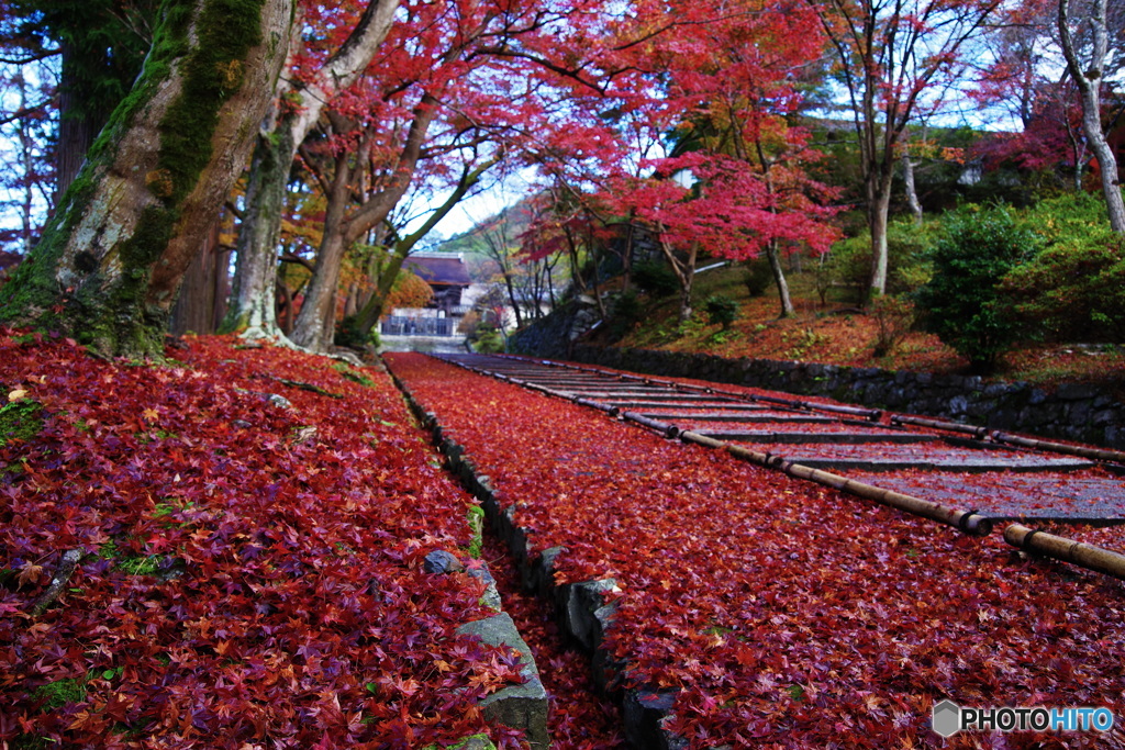 毘沙門堂の紅葉3（2020京都紅葉）