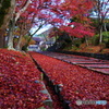 毘沙門堂の紅葉3（2020京都紅葉）