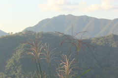 竹田城跡3（薄）