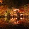 醍醐寺紅葉ライトアップ1