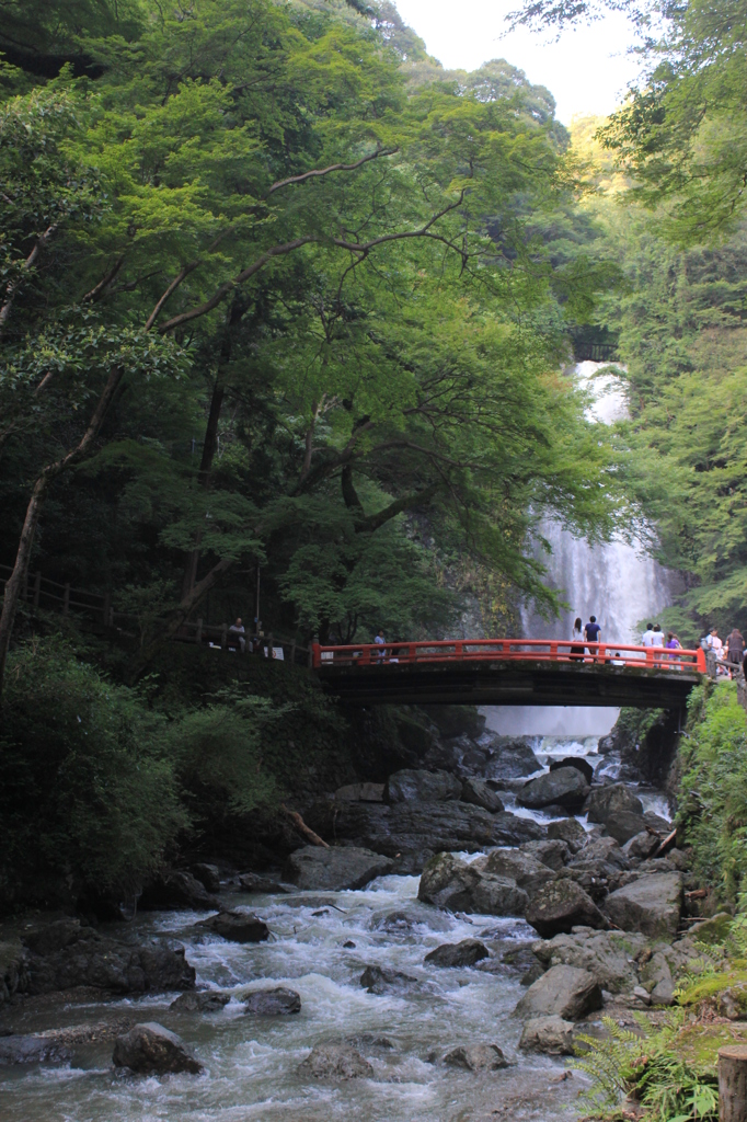 盛夏の箕面大滝1