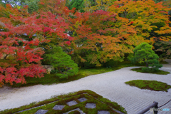 2021京の紅葉（天授庵書院東庭）
