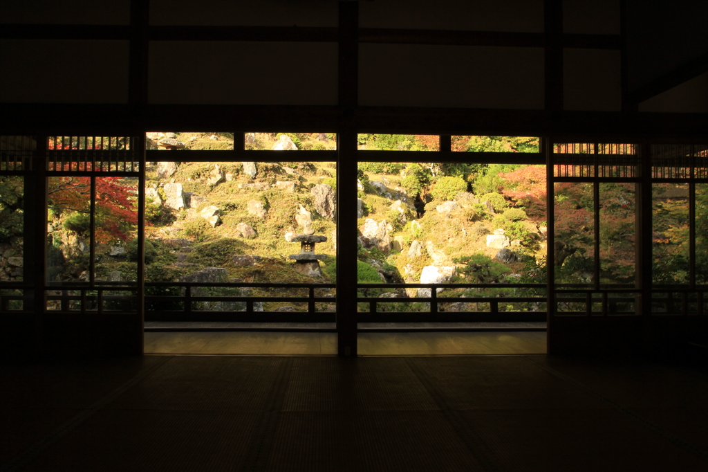 色づきはじめ（常照皇寺③）