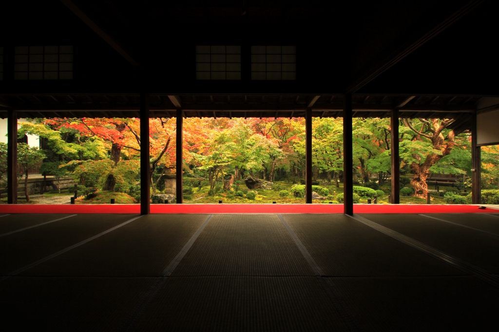 紅葉・ 圓光寺3