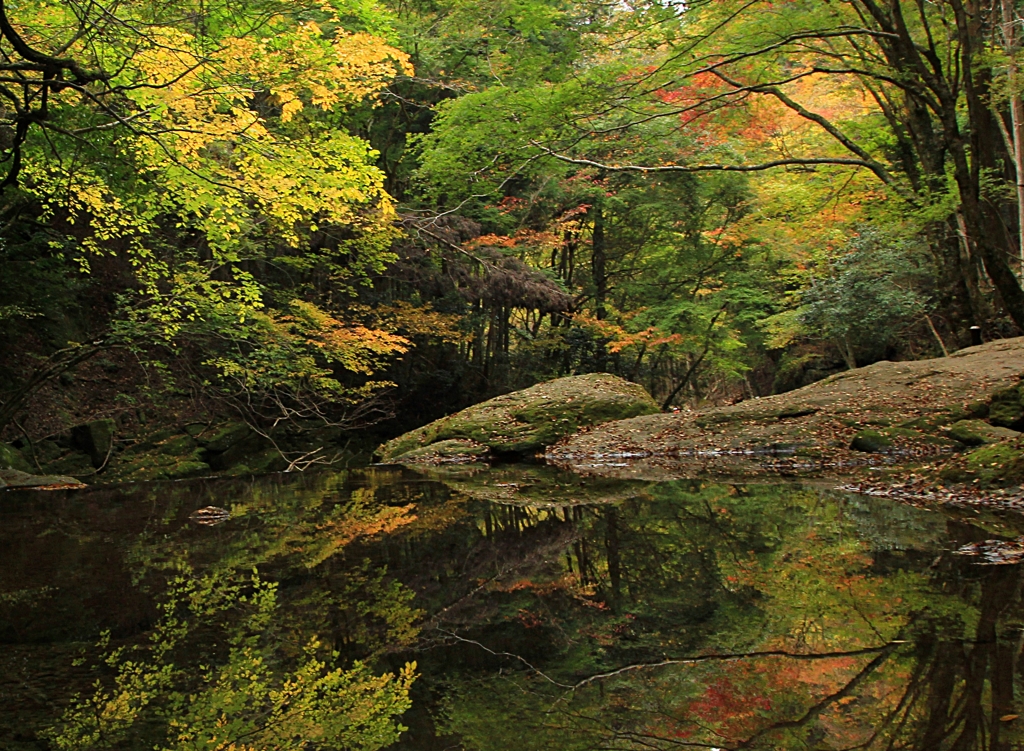 赤目四十八滝・紅葉3