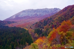 2019紅葉（大山2　鍵掛峠）