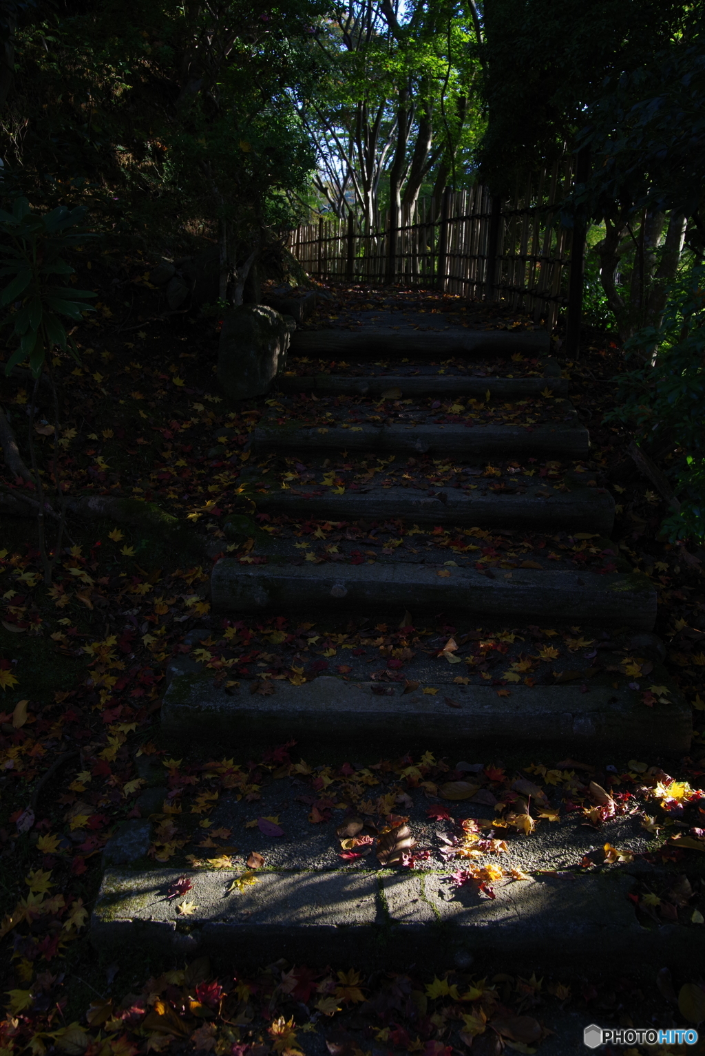 2018紅葉（吉野・竹林院庭園）