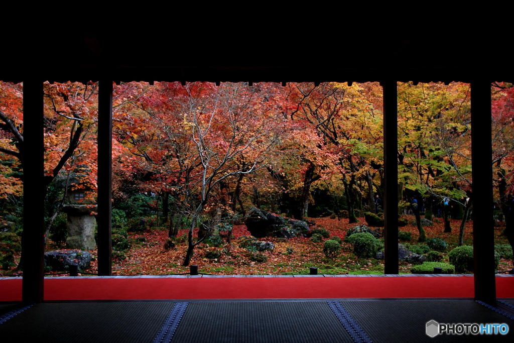 2016秋景色3（紅葉　圓光寺1）　