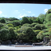 金地院・鶴亀庭園2
