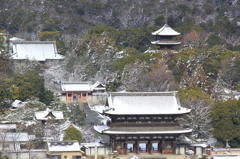 2015年古都初め⑤（雙ヶ岡より仁和寺一望）