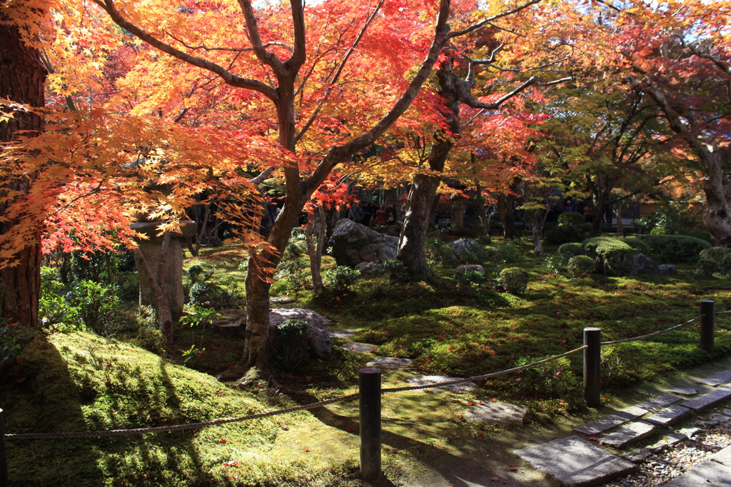 圓光寺2