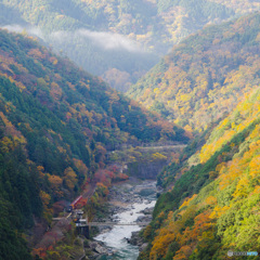 保津峡遠景（2020京都紅葉）