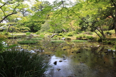 青もみじ(無鄰菴)