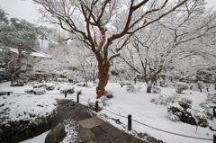 雪情景2015⑥（圓光寺2）