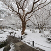 雪情景2015⑥（圓光寺2）