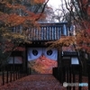 2015紅葉（光明寺3）