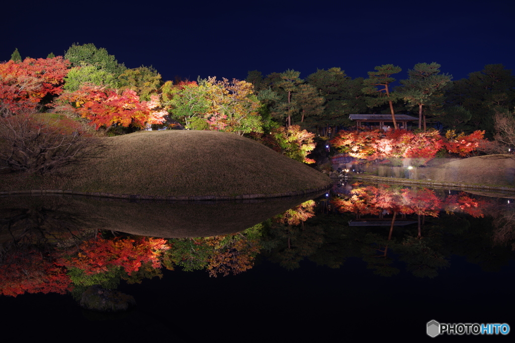 2018紅葉（梅小路公園・朱雀の庭ライトアップ2）