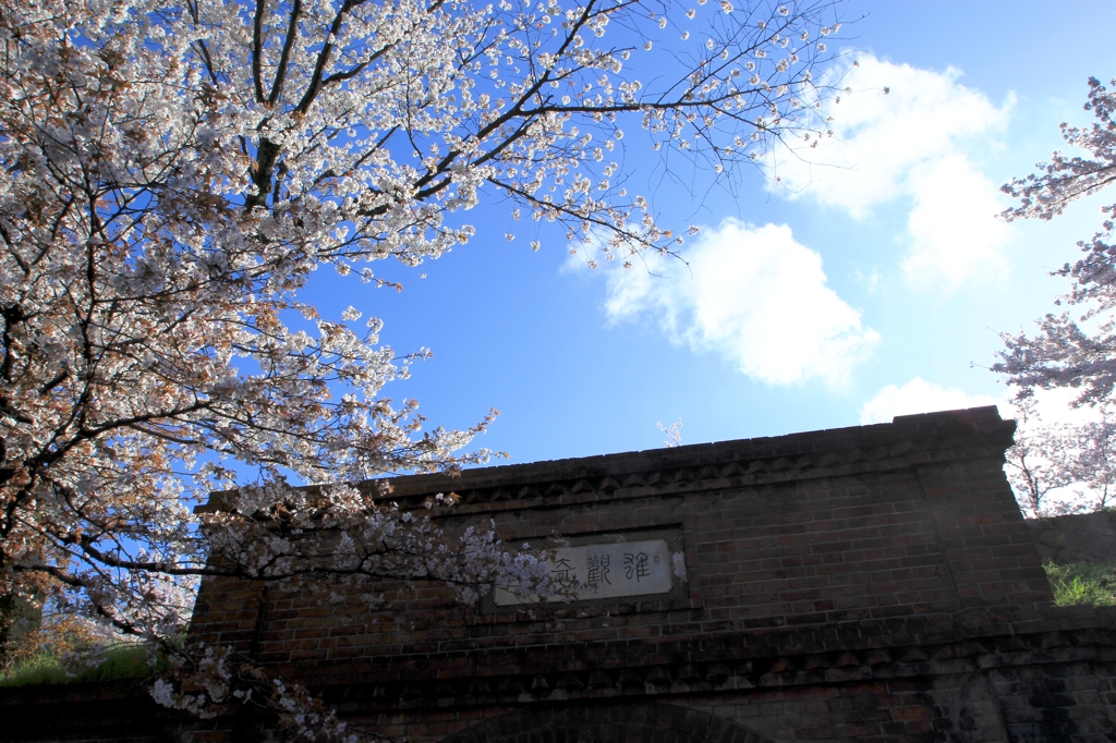 2015・桜めぐり①（インクライン・蹴上隧道）